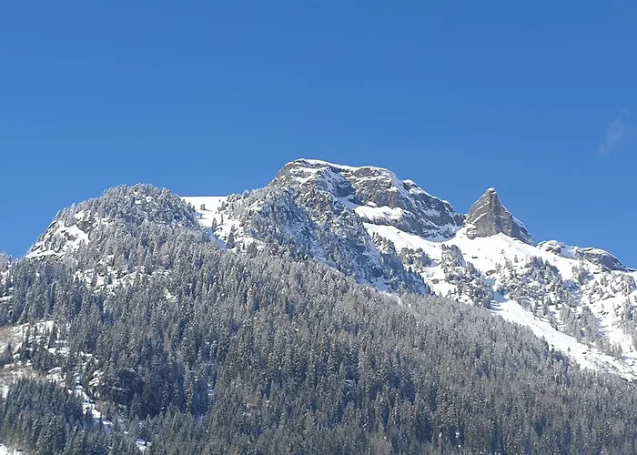 Ciamorc Relax & Sport Appartament For Max 2 Adults 1 Child 1 Infant *